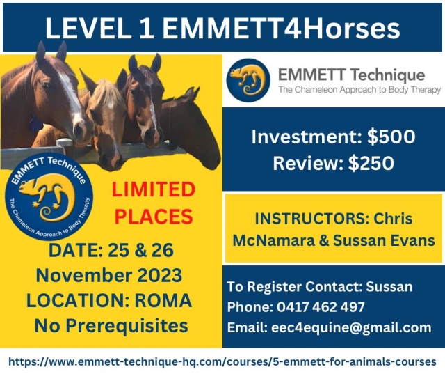 Horse Level 1 - AUST- QLD- Roma-South West QLD - 25 & 26 November 2023