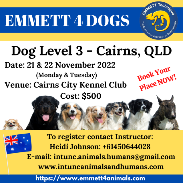 Dog Level  3- Aust - Qld - Cairns- 21st & 22nd Nov 2022