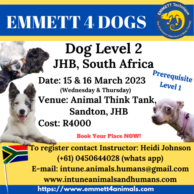Dog Level 2 - South Africa, GP - Johannesburg - 15 & 16 March 2023