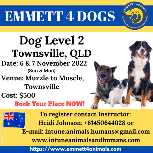 Dog Level 2 - Aust - Qld - Townsville- 6th & 7th Nov 2022