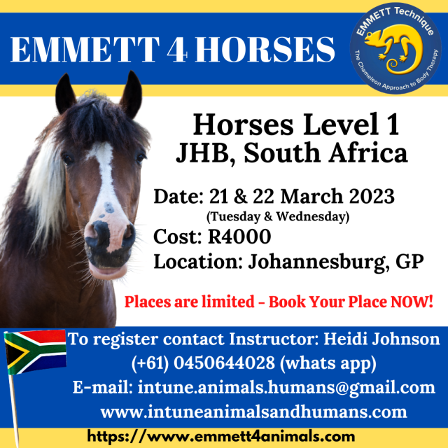 Horse Level 1 - South Africa, GP - Johannesburg - 21 & 22 March 2023