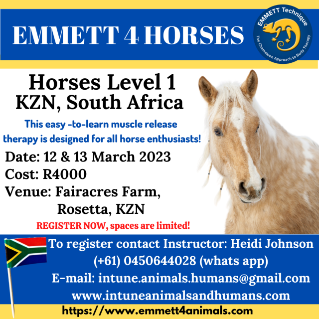 Horse Level 1 - South Africa, KZN - Rosetta - 12 & 13 March 2023