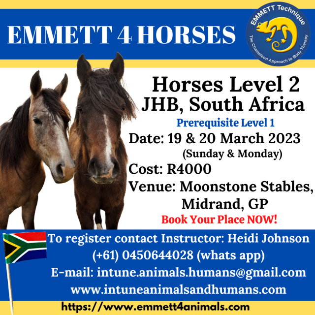Horse Level 2 - South Africa, GP - Johannesburg - 19 & 20 March 2023