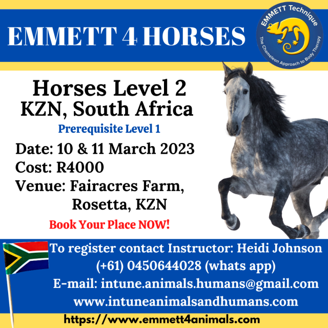 Horse Level 2 - South Africa, KZN - Rosetta - 10 & 11 March 2023