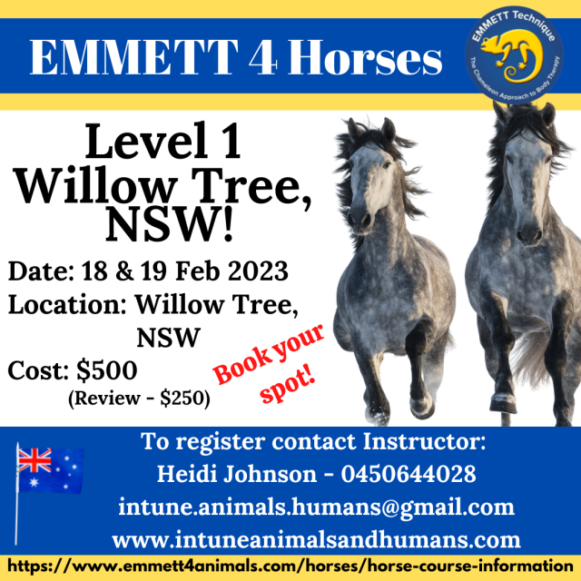 Horse Level 1 - Willow Tree, NSW - 18 & 19 February 2023