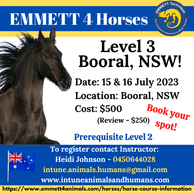 Horse Level 3 - Booral, NSW - 15 & 16 July 2023