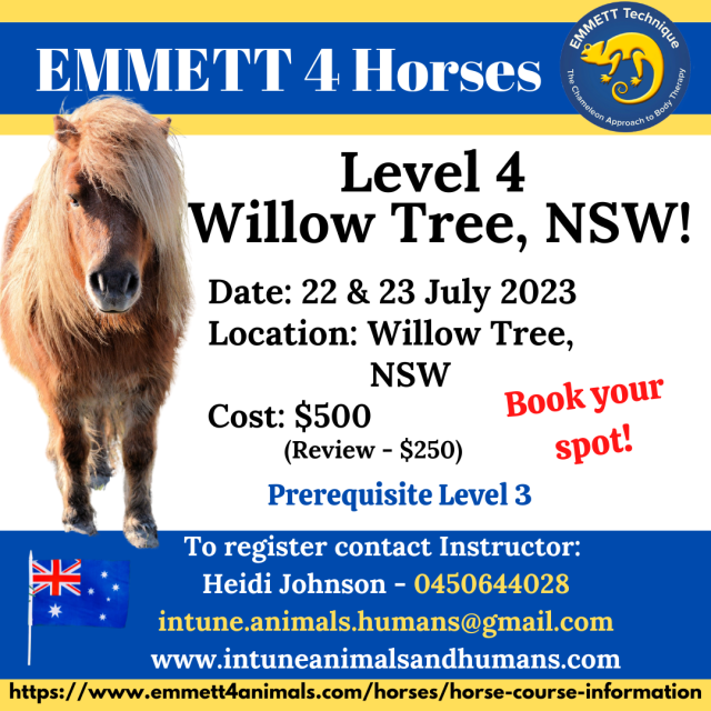 Horse Level 4 - Willow Tree, NSW - 22 & 23 July 2023