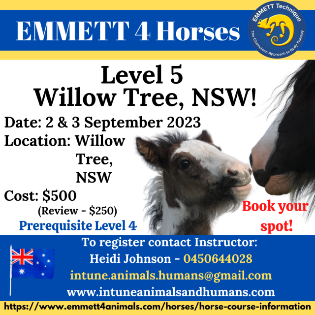 Horse Level 5 - Willow Tree, NSW - 2 & 3 September 2023