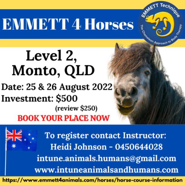 Horse Level 2 - Monto - QLD - 25/26 August 2022 