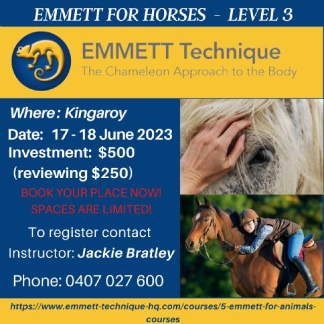 Horse Level 3 - Kingaroy - AUST- QLD - 17th-18th June 2023