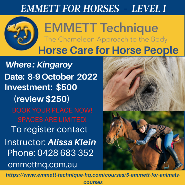 Horse Level 1 - Aust - QLD- Kingaroy - 8th-9th October 2022