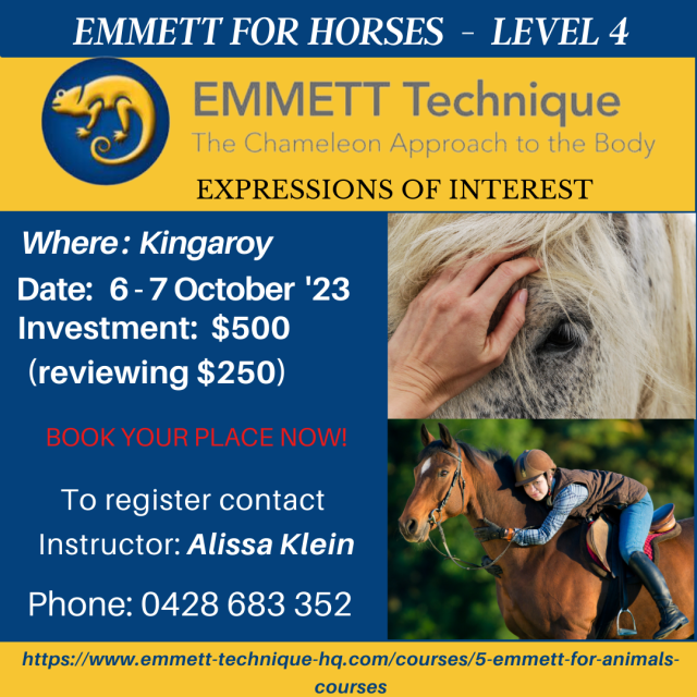 Horse Level 4 - AUST - QLD - Kingaroy - 6 & 7 October 2023 - Expression of Interest