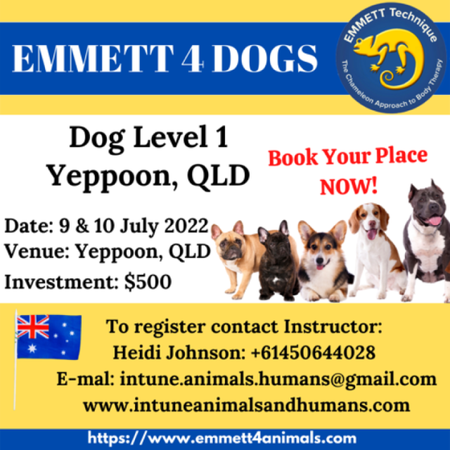 Dog Level 1 - Yepoon - 9/10 July 2022