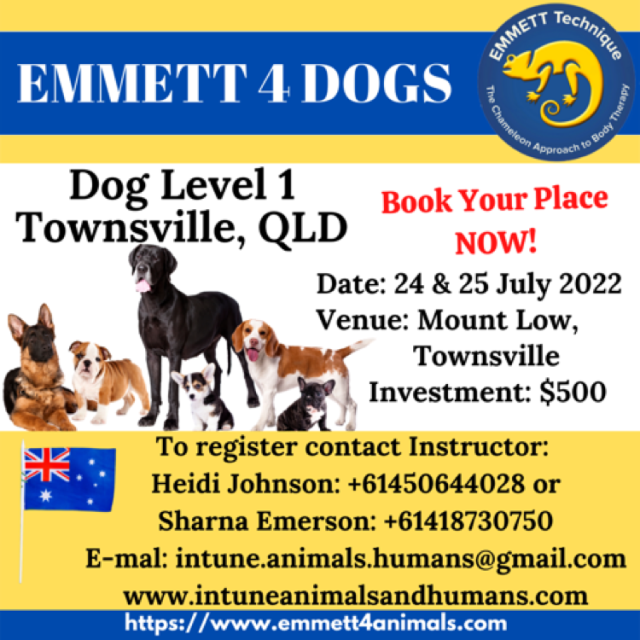 Dog Level 1 - Townsville - 24/25 July 2022 