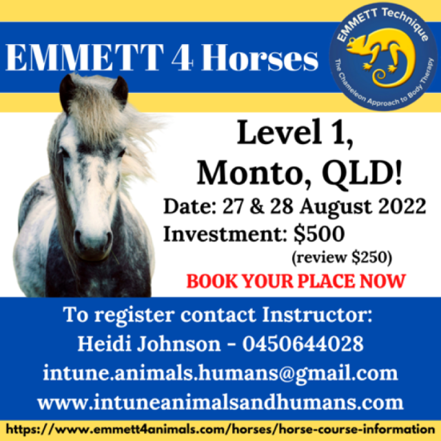Horse Level 1 - Monto - QLD - 27th- 28th August 2022 