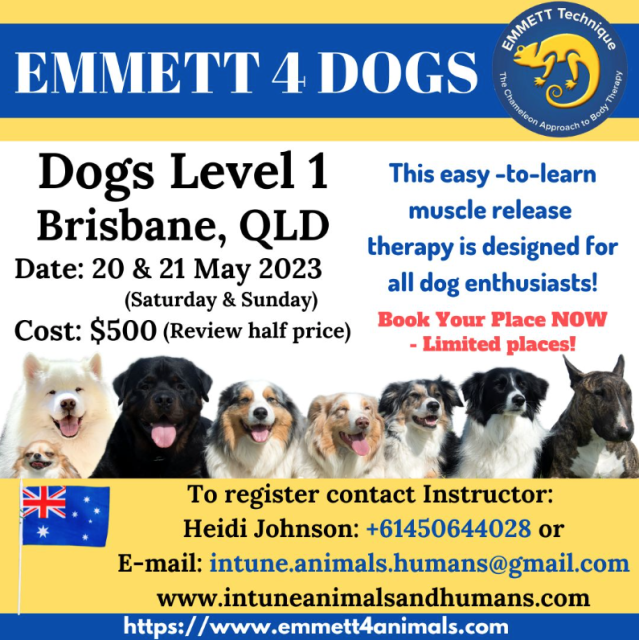 Dog Level 1 - Australia- Brisbane, QLD- 20th-21st May 2023