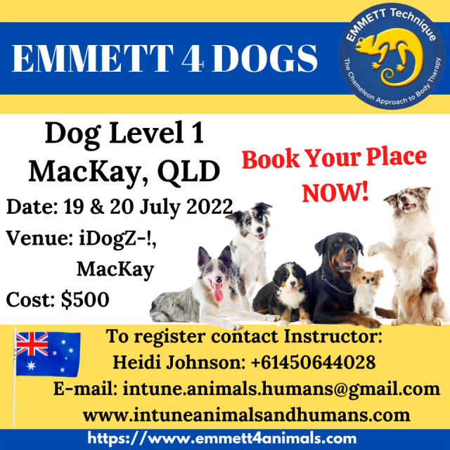 Dog Level 1 - Mackay - 19/20 July 2022 