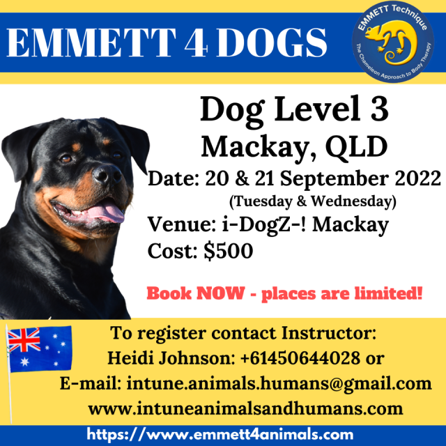 Dog Level 3 - Mackay- 20th & 21st September 2022