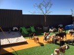 K9to5 Dog Day Care